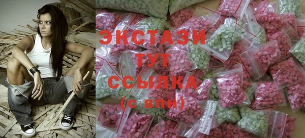 гашик Вяземский