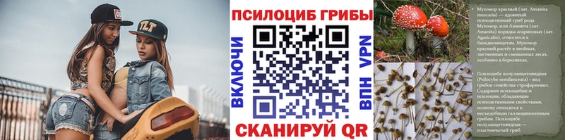 Галлюциногенные грибы Psilocybe  hydra tor  Черкесск 